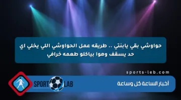 حواوشي بقى يابنتي .. طريقة عمل الحواوشي اللي يخلي أي حد يسقف وهوا بياكلو طعمه خرافي